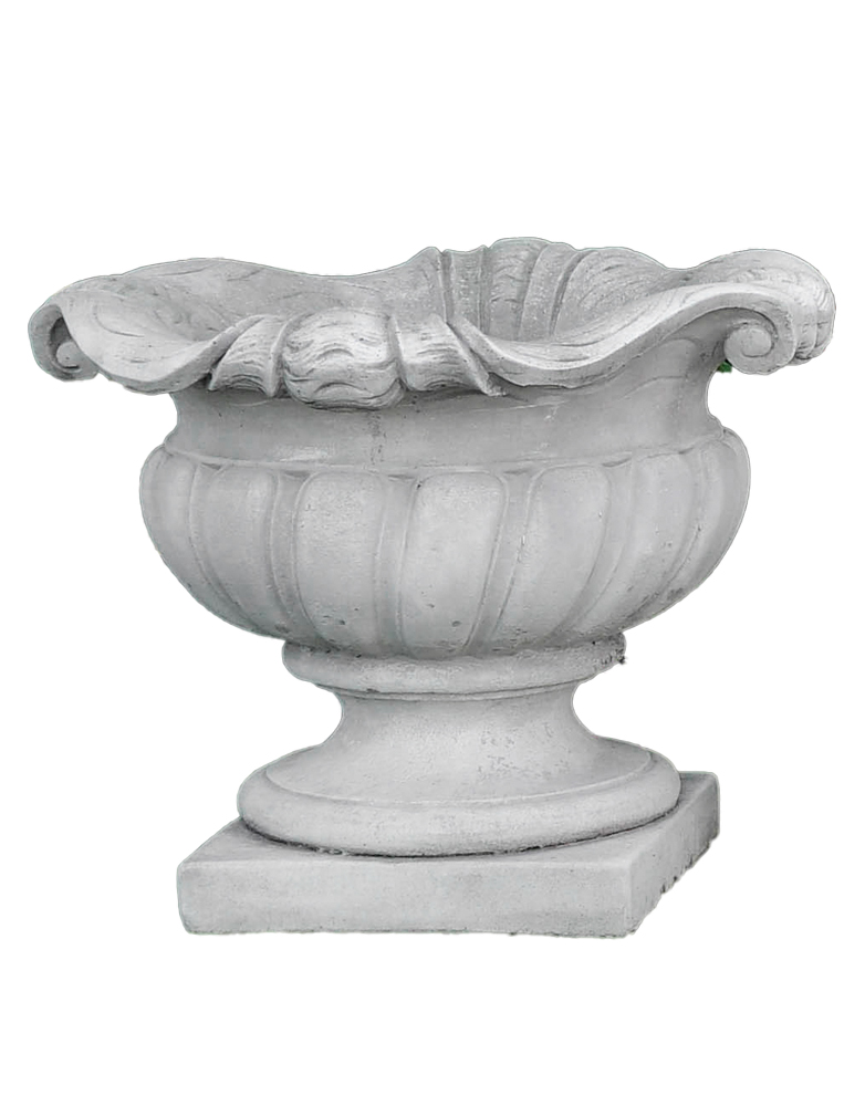 Vaso Corolla