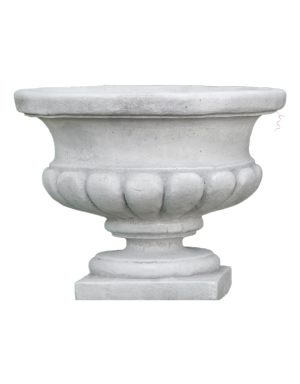 Vaso Patrizio
