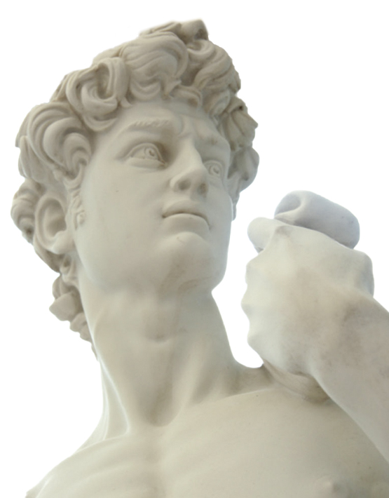 David - immagine 2