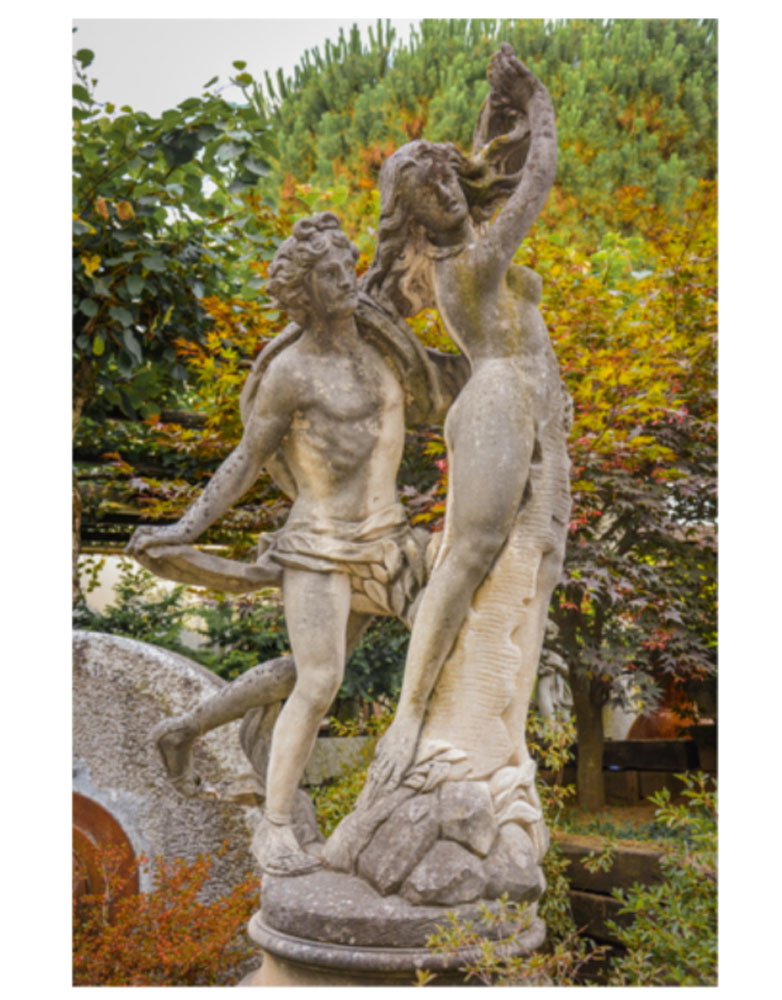 5 idee per trasformare il tuo giardino con pochi elementi decorativi