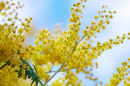 Prepariamoci alla Primavera
