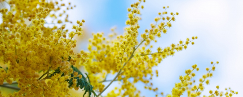Prepariamoci alla Primavera