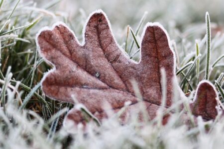Inverno e vasi antigelivi
