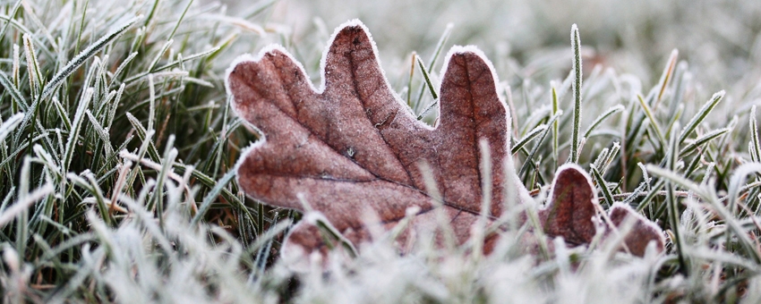 Inverno e vasi antigelivi