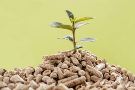 Quale pellet scegliere
