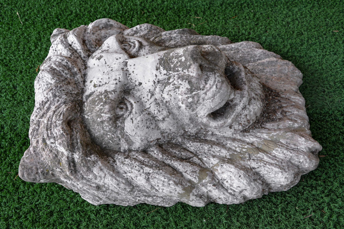 Leone Della Foresta - immagine 3