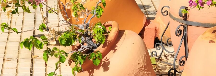 Vasi in terracotta da esterno con piante da proteggere durante il freddo e l'inverno.