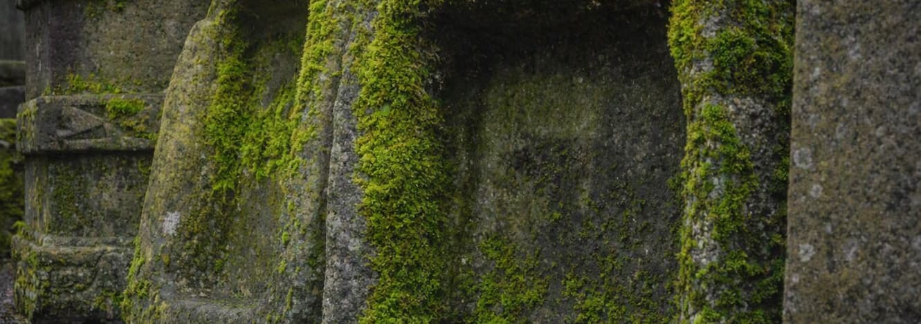 Vasche in sasso: perché inserirle nel tuo giardino e come scegliere quella giusta