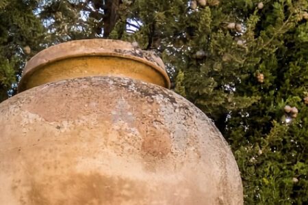 Come scegliere il vaso giusto per l’esterno in inverno (materiali, peso, resistenza)